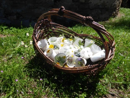 Sortie scolaire nature : Histoire de fleurs ! - Expérience Côte d'Azur