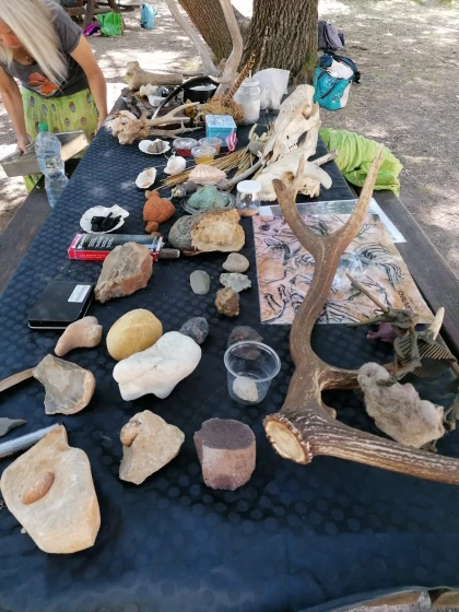Sortie scolaire nature : la Préhistoire à travers les traces - Expérience Côte d'Azur