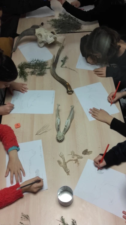 Sortie scolaire : sur les traces des animaux ! - Expérience Côte d'Azur