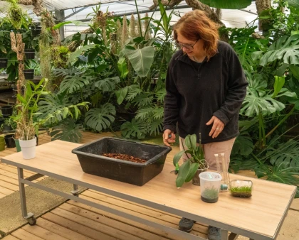 Stage autour des plantes - Orchidées - Expérience Côte d'Azur
