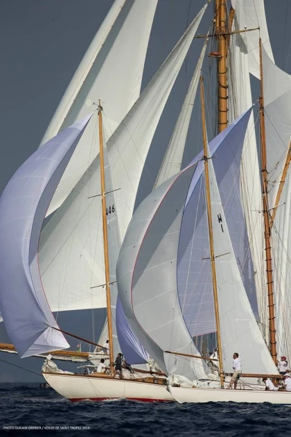 Suivi des voiles de Saint Tropez - Expérience Côte d'Azur