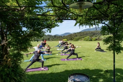 Séance de yoga Vinyasa au coeur d'un vignoble - Expérience Côte d'Azur