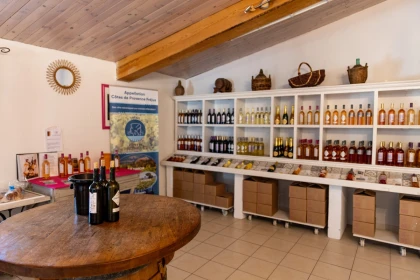 Visite guidée du domaine - Jas des Oliviers - Expérience Côte d'Azur