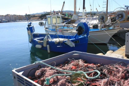 Visite guidée de Saint Tropez - Expérience Côte d'Azur