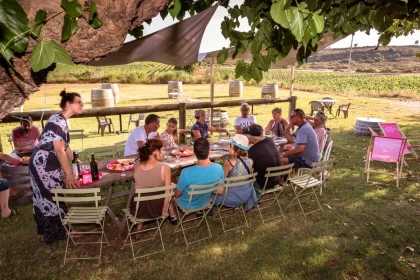 Visite de cave et dégustation de vins et de produits locaux - Expérience Côte d'Azur