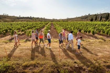 Visite de cave et dégustation de vins et de produits locaux - Expérience Côte d'Azur