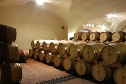 VINO VIDI VICI : Votre escape game dans les vignes - Expérience Côte d'Azur