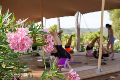 Séjour retraite yoga & alimentation saine à Saint-Raphaël - Expérience Côte d'Azur