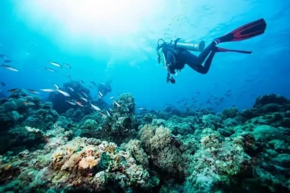 Sortie plongée en Méditerranée au départ de Saint-Raphaël