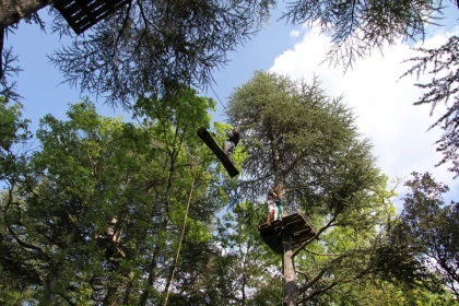 Accrobranche Aoubré l’aventure nature – Prix promo au cœur du Var - Expérience Côte d'Azur