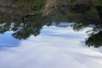 Balade naturaliste aux lacs inattendus - Expérience Côte d'Azur