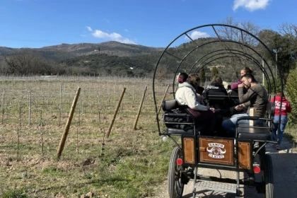Balade en calèche et rosé chaud à Grimaud - Expérience Côte d'Azur