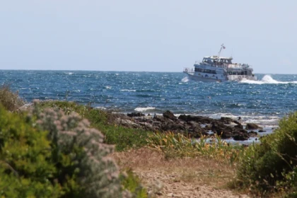 Horizon - île de Sainte-Marguerite - Expérience Côte d'Azur