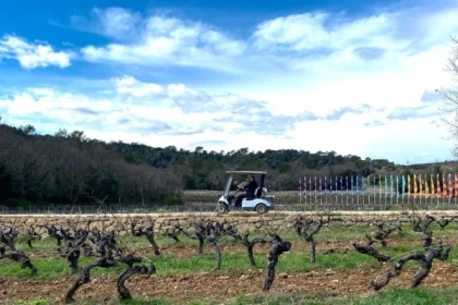 La balade en voiturette dans les vignes - Expérience Côte d'Azur