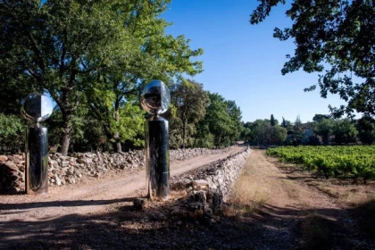 La balade en voiturette dans les vignes - Expérience Côte d'Azur