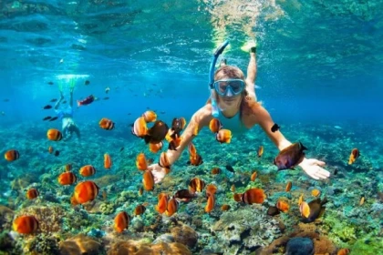  Location de matériel de snorkeling  - plage de la Madrague - Expérience Côte d'Azur