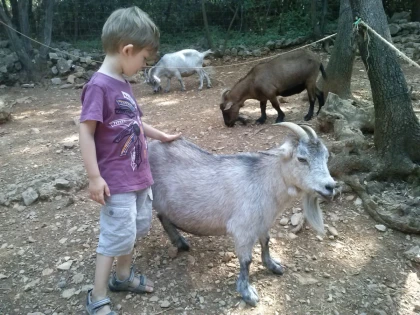 Parc Aoubré en promo – Vivez une aventure nature en famille dans le Var - Expérience Côte d'Azur