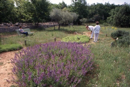 Parc Aoubré en promo – Vivez une aventure nature en famille dans le Var - Expérience Côte d'Azur
