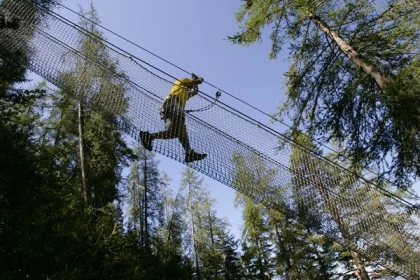 Parcours aventure Colmiane Forest - PROMO - Expérience Côte d'Azur