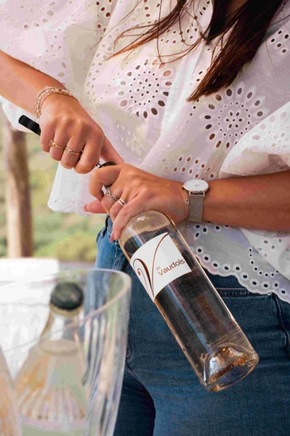 Pique nique dans les vignes - Expérience Côte d'Azur