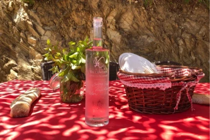 Pique nique champêtre chez le vigneron - Expérience Côte d'Azur