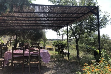 Pique nique champêtre chez le vigneron - Expérience Côte d'Azur