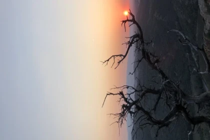 RANDO COUCHER DE SOLEIL - Expérience Côte d'Azur