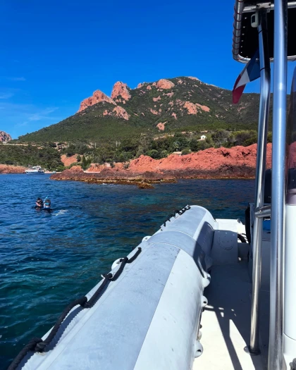 Saint-Raphaël : Snorkeling guidé au Cap Roux - Réserve - Expérience Côte d'Azur
