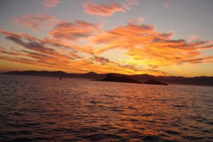 Sortie en mer de Saint Raphaël - Les Voiles de Saint Tropez - Expérience Côte d'Azur