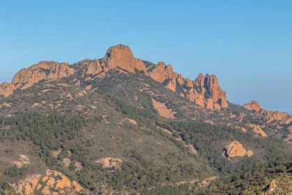 Sortie Mont Vinaigre avec un partenaire ONF - Expérience Côte d'Azur