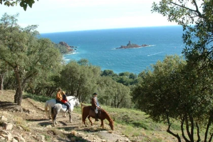 STAGE PEGASE - Expérience Côte d'Azur