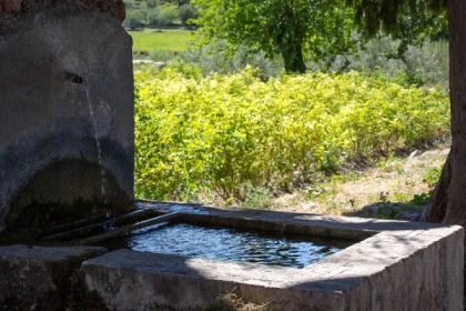 Visite commentée du village de Fayence - Expérience Côte d'Azur