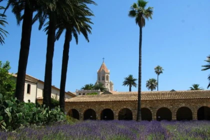 Visite guidée Île Saint Honorat - Cannes - Expérience Côte d'Azur