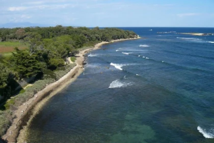 Visite guidée Île Saint Honorat - Cannes - Expérience Côte d'Azur