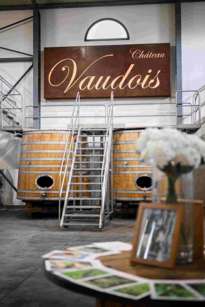 Visite privée du Château Vaudois - Expérience Côte d'Azur