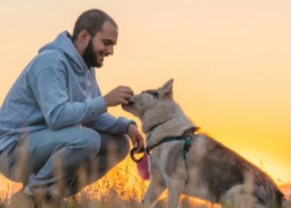 Activité avec animaux à Saint Raphaël