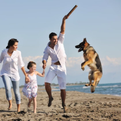 Activité avec chien au bord de mer