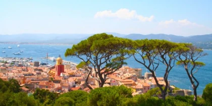Pinède à Saint Tropez