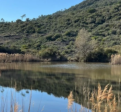 Randonnée lac de l'écureuil, Massif de l'Estérel