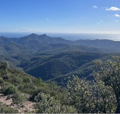 Mont Vinaigre, Estérel - Sud de la France