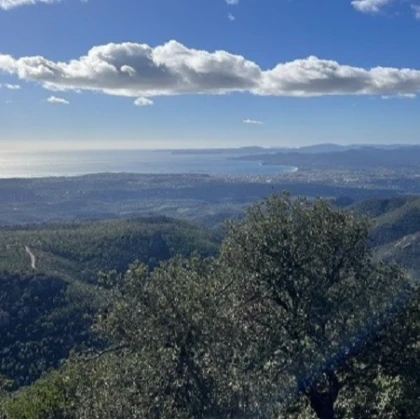 Mont vinaigre panorama