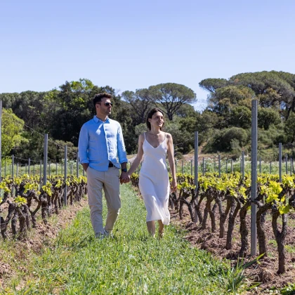 Vignes du clos des roses Fréjus