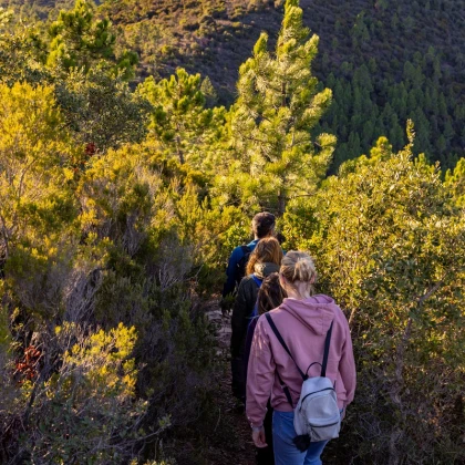 Balade massif de l'Estérel Fréjus avec guide