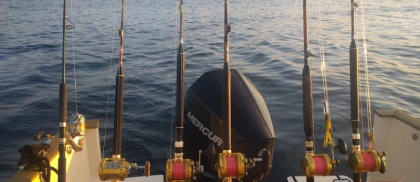 Pêche à la ligne en mer Fréjus
