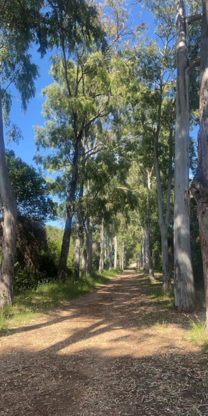 Randonnée ile sainte marguerite