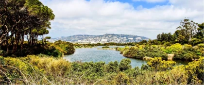 Réserve ornithologique île st marguerite