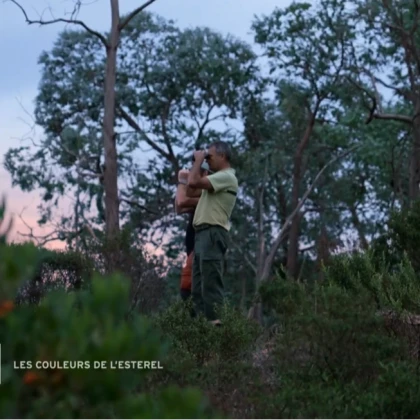 Randonnée Estérel : observer la faune et la flore