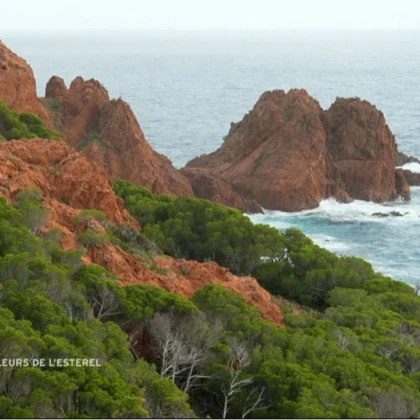 Paysages du Cap Dramont et ses falaises ocres
