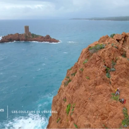 Vue plongeante sur l'ile d'or et les falaises du cap Dramont