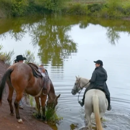 Balade à cheval en Estérel vue panoramique